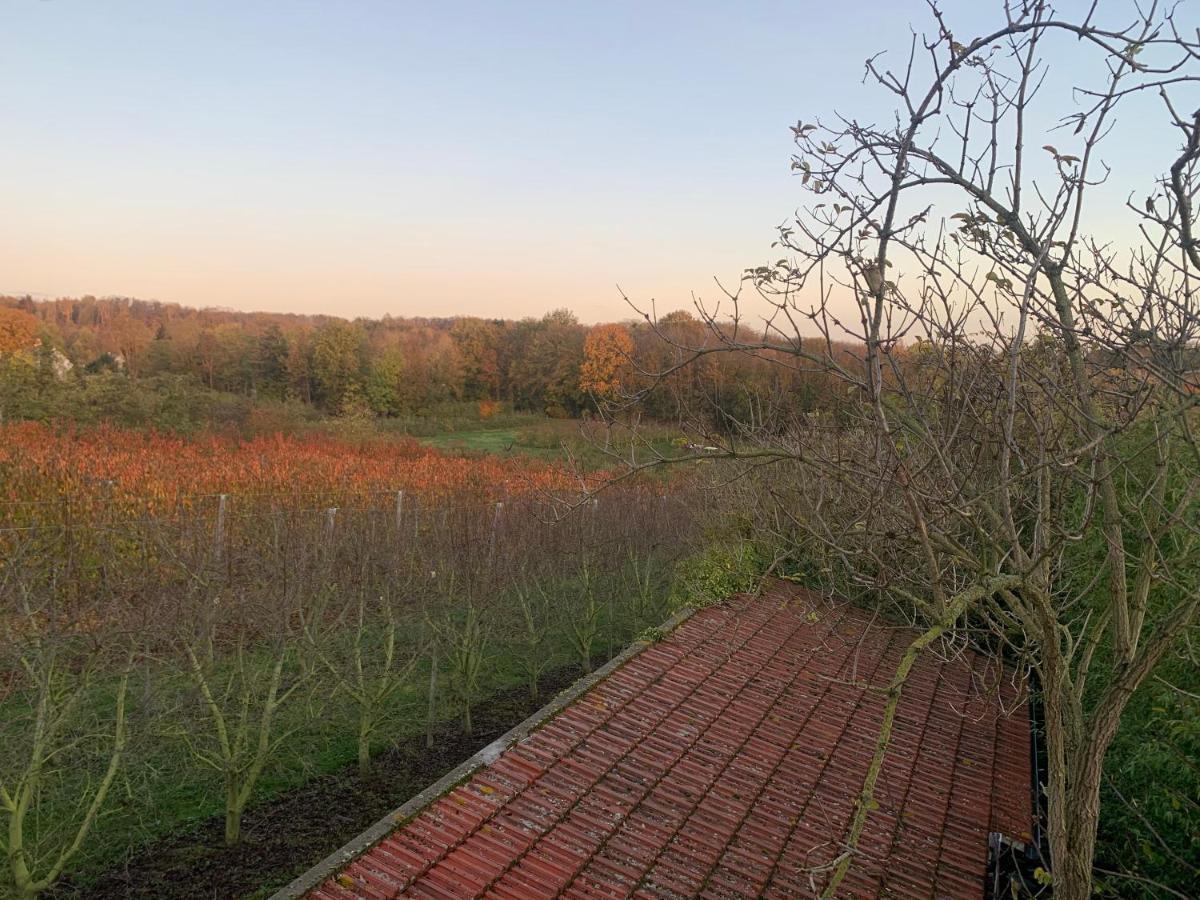 Mon Repos Saint-Brice-sous-Forêt Exterior foto